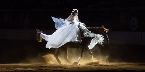 Freestyle Reining - Sun. Jan. 10 3pm