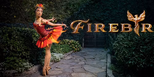 Parking American Classical Ballet: The Nutcracker