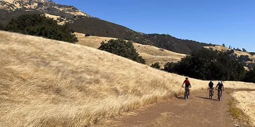 Hit the Trails - Mountain Biking