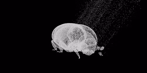 Filmvisning och samtal med Hagren\/Bela och Sheung Yiu