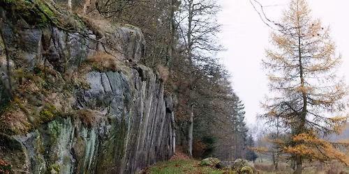 Bioblitz i Naturnationalpark Almindingen, Bornholm