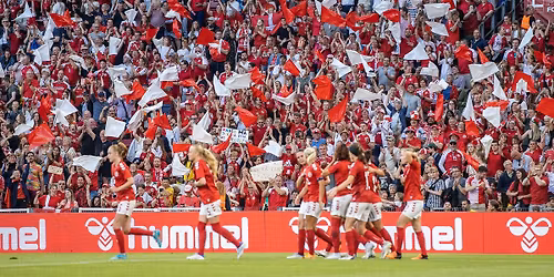 Danmark vs. Finland i Parken