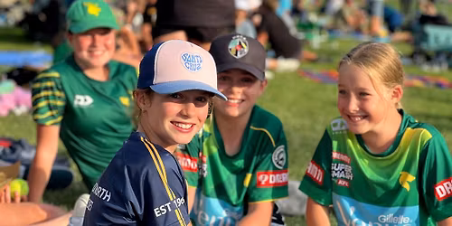 Super Smash T20 Stags and Hinds in Napier