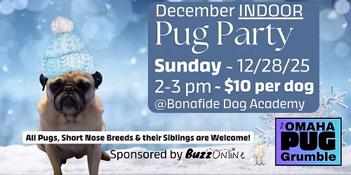 December INDOOR Pug Party