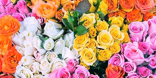 Mother's Day Sound Bath Experience