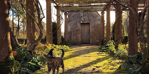 Pippa and the Pumpkin Halloween Trail