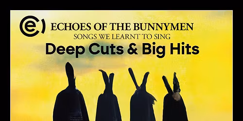 Echoes Of The Bunnymen Live At Lions Den, Manchester