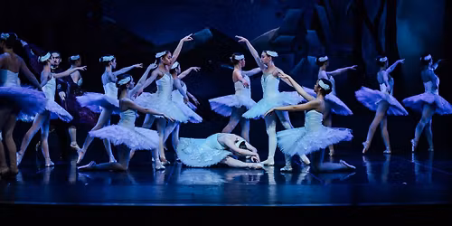 Swan Lake