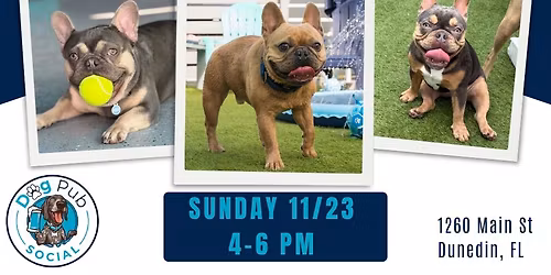 Frenchie Meetup