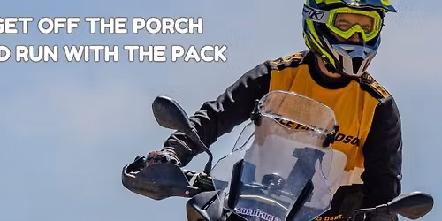 Palmetto Polish & Sass