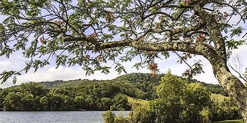 Extended Care:  It's Not Just About Shady Rest Any More