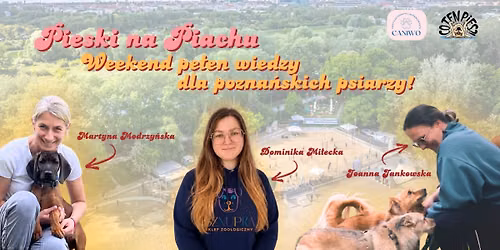 Pieski na Piachu, czyli weekend pe\u0142en wiedzy dla pozna\u0144skich psiarzy!