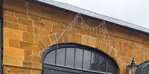 Christmas Wreath Making 2025