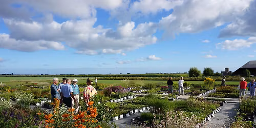 Lentekriebels! Open tuin vol bloembollen