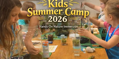 Pixie Moss Meadows Kids Summer Camp 