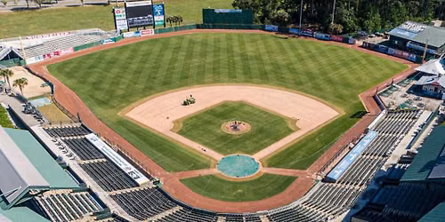 Myrtle Beach Pelicans at Hill City Howlers at Bank of the James Stadium