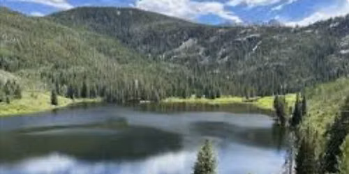 Wildflower Hike with Blue River Watershed Group