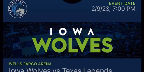 Iowa Wolves at Texas Legends at Comerica Center