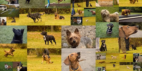 zkou\u0161ky NZ\u0158 a MZ\u0158 