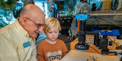 Free Day at the Museum