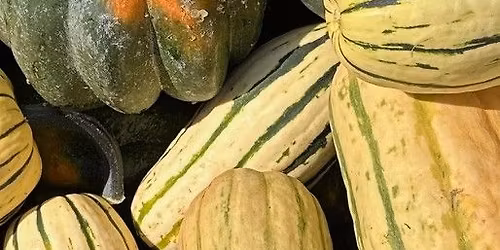 Fall Veggie Fixins
