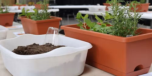 Herb Container Garden Workshop at the Botanical Gardens
