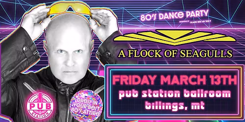 A Flock of Seagulls LIVE: 80's Dance Party