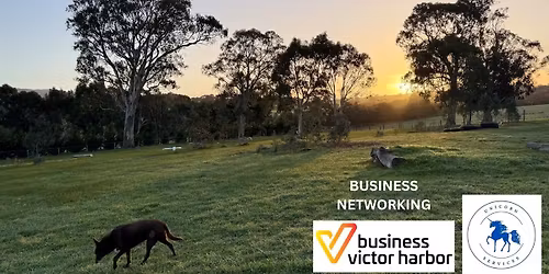  Business Networking  at Unicorn Horse and Dog Playground 