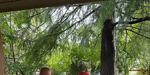 Nature Day Camp for 7+