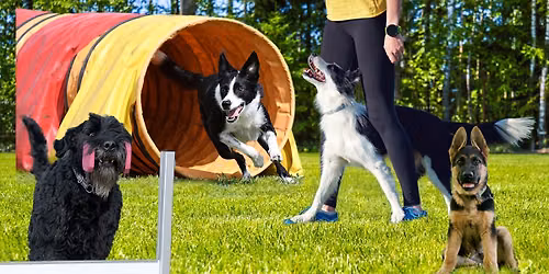 Snuffeldag