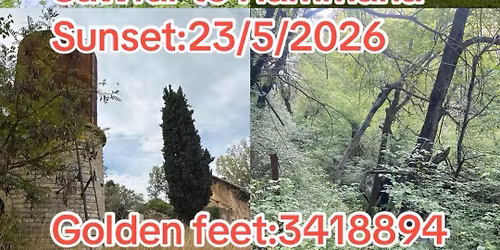 Sawfar to Hammana Waterfall(New Sunset trail),Golden feet