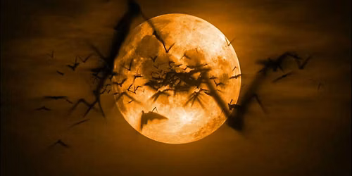 Halloween Full Moon in Taurus