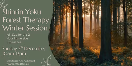 Shinrin Yoku, Forest Therapy Winter 