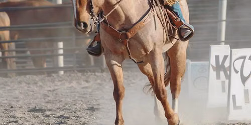 ABCs of Cowboy Dressage