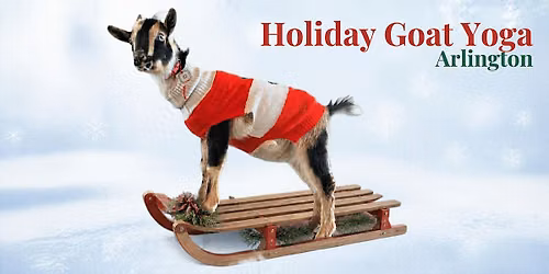 Ugly Holiday Sweater Goat Yoga in Arlington