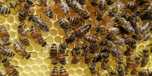 June 2026 Meeting