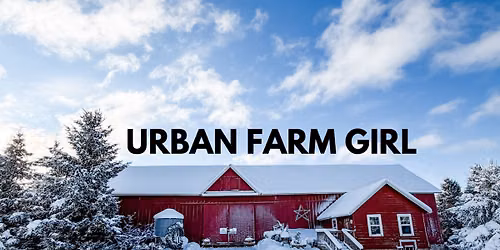 Magical Christmas in the Barn