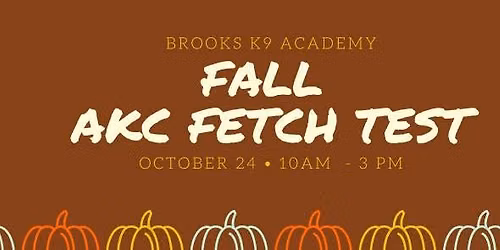 Brooks K9 Academy Fall Fetch Test