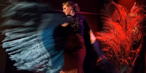 KMSKA LAAT - Flamenco!