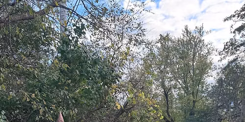 Trail or Treat