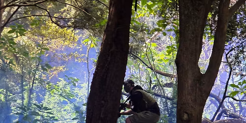 Operation Wounded Elbow