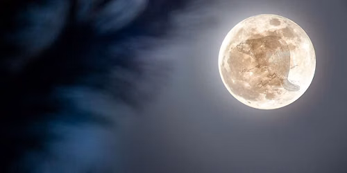 Full Beaver Moon Walk (Adults 18+)