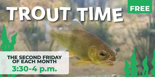 Trout Time