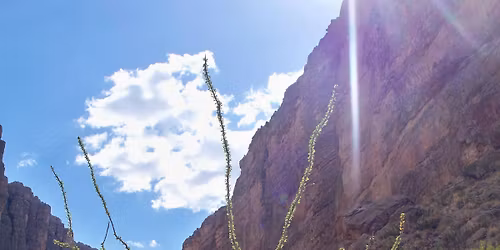 Acoustic Jam at Altstadt Brewery's Basement Speakeasy