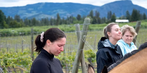 Yoga & Horse Meditation Among the Vines at The View Winery!!