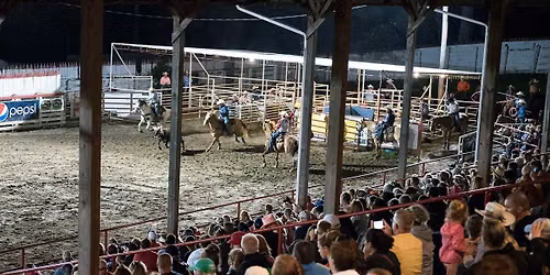 Painted Pony Rodeo
