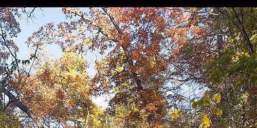 Electric Park Ballroom Saturday April 18, 4:30-9