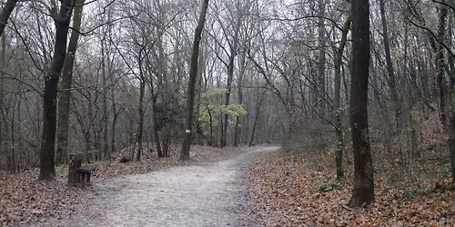 T\u00e1j\u00e9koztat\u00f3 erd\u0151bej\u00e1r\u00e1s a k\u0151rishajt\u00e1s-pusztul\u00e1s betegs\u00e9ge miatt