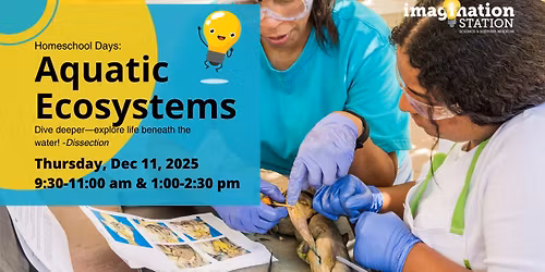 Homeschool Days: Aquatic Ecosystems - dissection