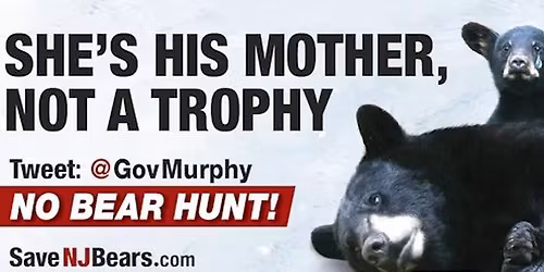 Protest for Bears and Deer